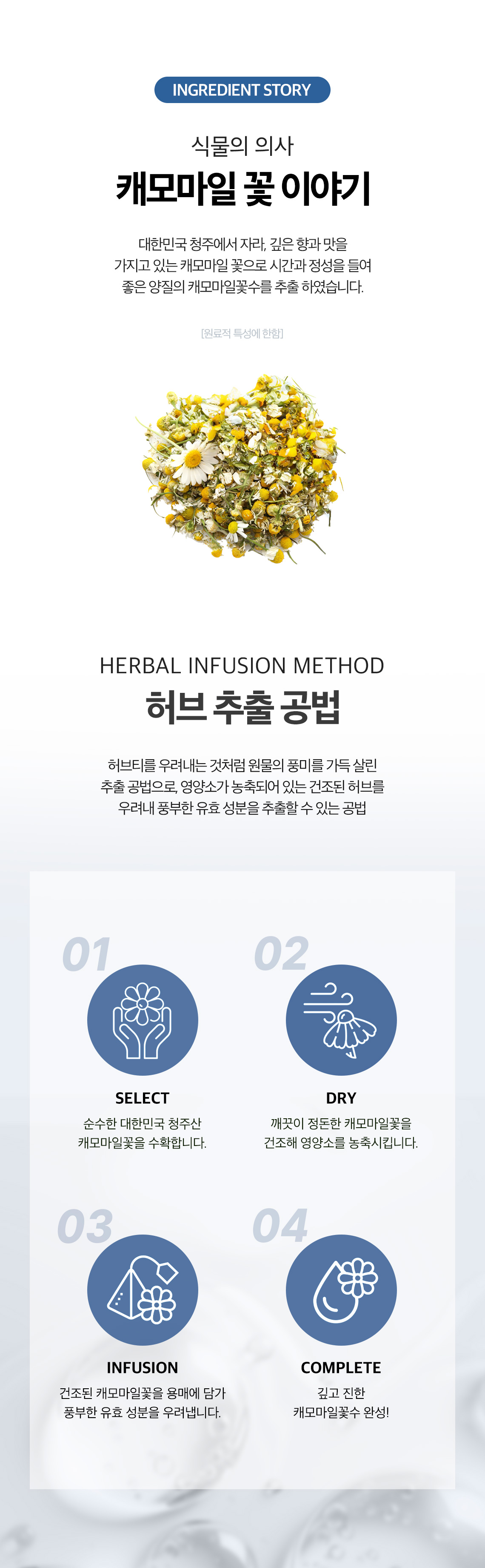 블루캐모마일앰플