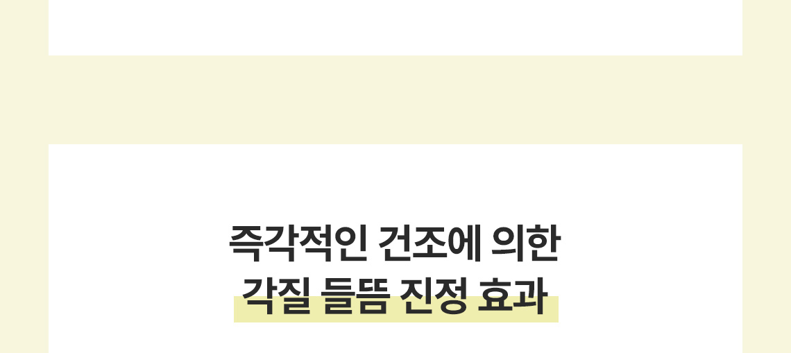 레몬딜버터푸드마스크