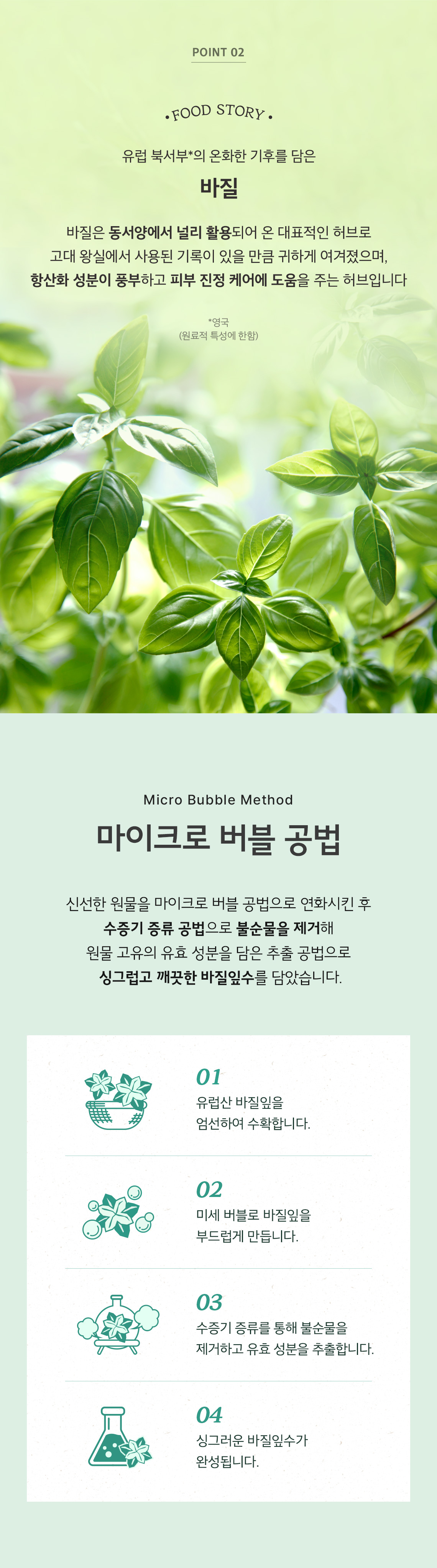 바질티트리 패드 06