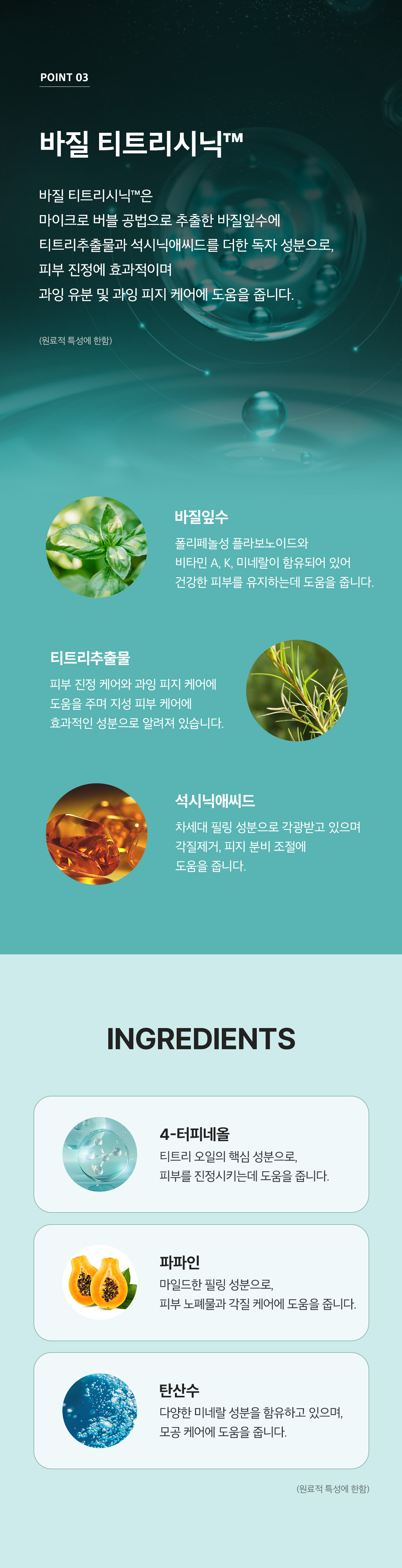 바질티트리 패드 07